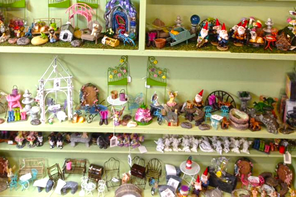 Fairy Garden Gallery Casey S Garden Shop Florist