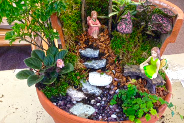 Fairy Garden Gallery Casey S Garden Shop Florist