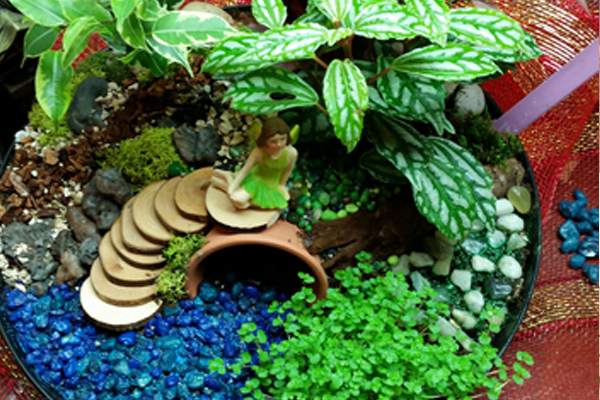 Fairy Garden Gallery Casey S Garden Shop Florist