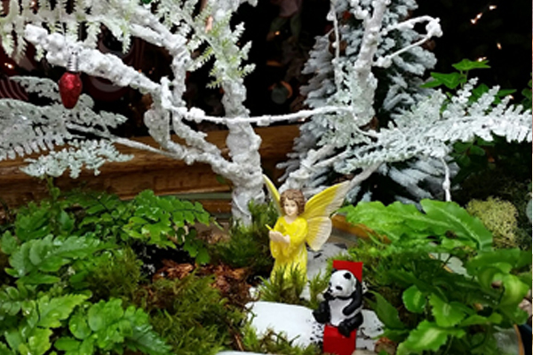 Fairy Garden Gallery Casey S Garden Shop Florist