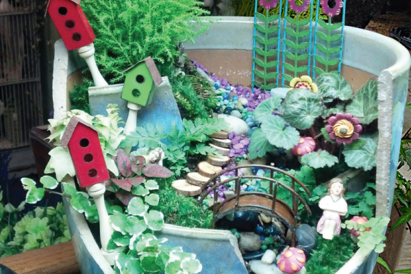 Fairy Garden Gallery Casey S Garden Shop Florist