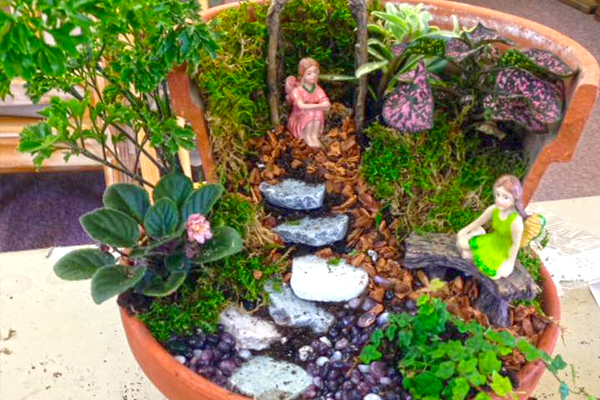 Fairy Gardens