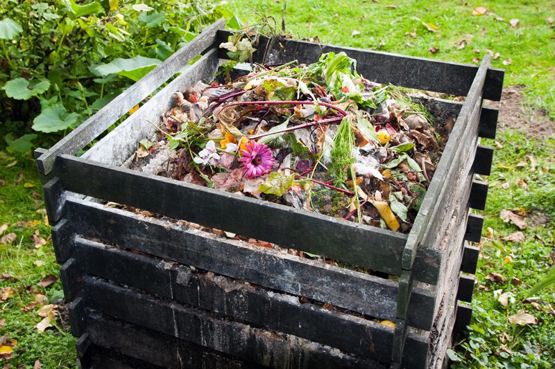 Green Gardening Tips