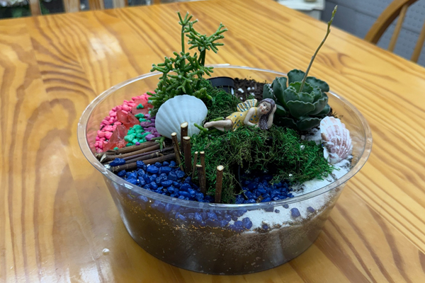 Fairy Garden Class