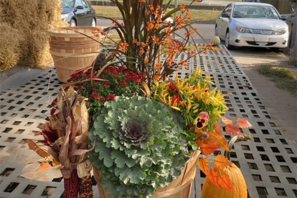 Fall porch pots