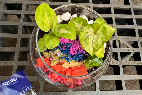 Terrarium Workshop