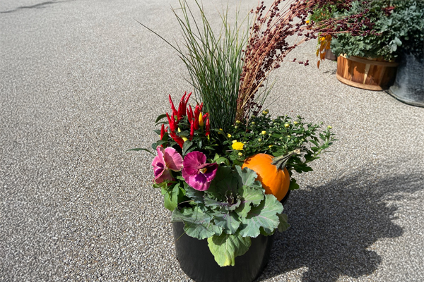 Fall porch pots & sips