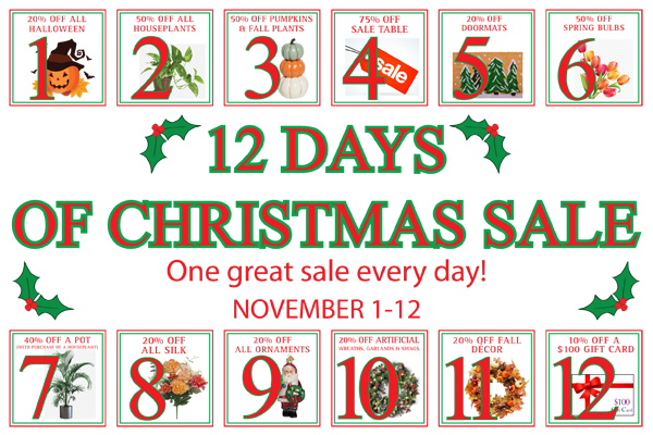 Our Annual 12 Days of Christmas Sale