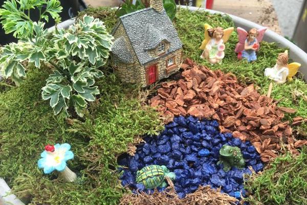 Fairy Garden Class