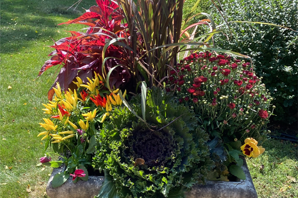 Fall Planter Workshop