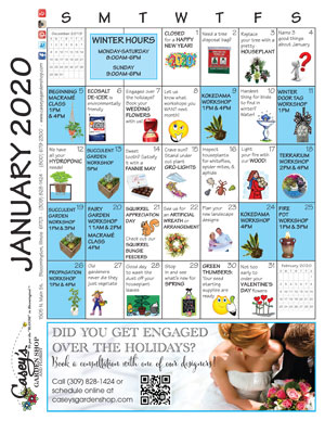Calendar Coupons Caseys Garden Shop Florist Bloomington Il