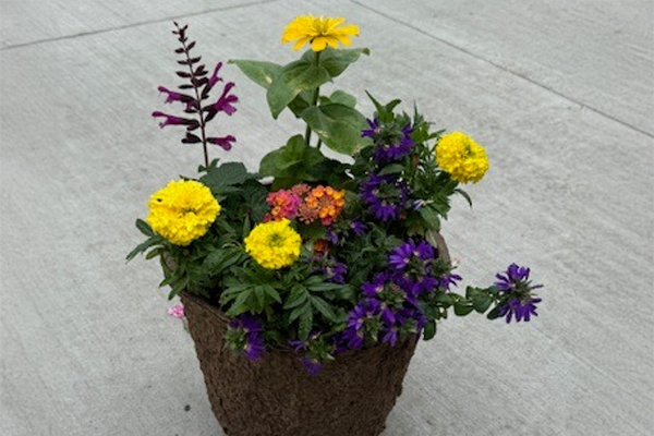 Summer Porch Pot