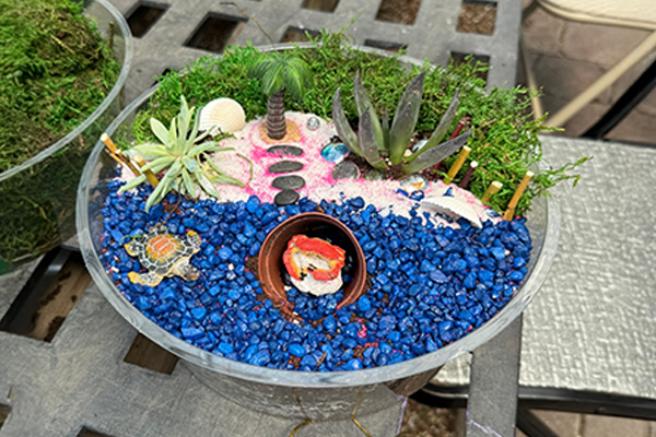 Gal Pal's at Dr. McKays