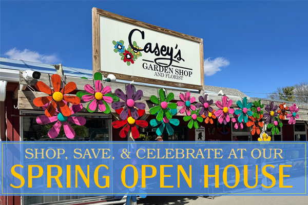 Mike’s Retirement Celebration